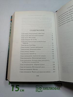 Тень «Полярной звезды»