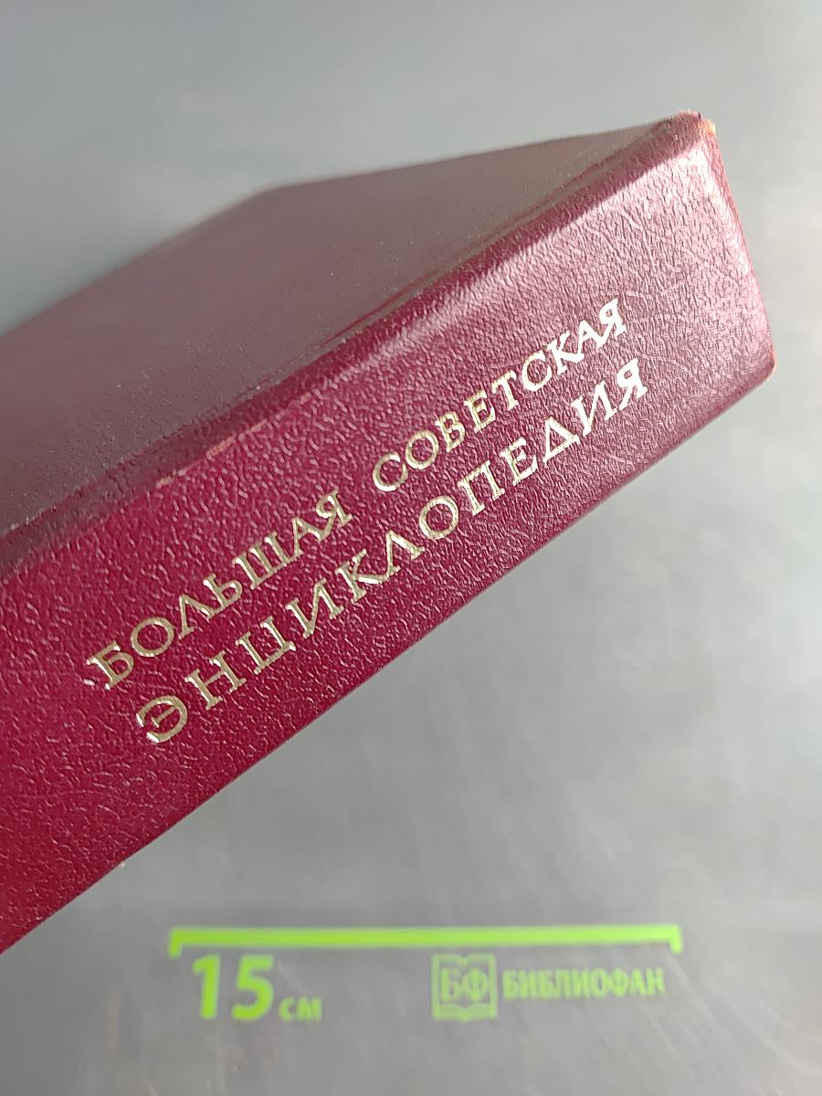 Большая Советская Энциклопедия. Том 22. Ремень — Сафи