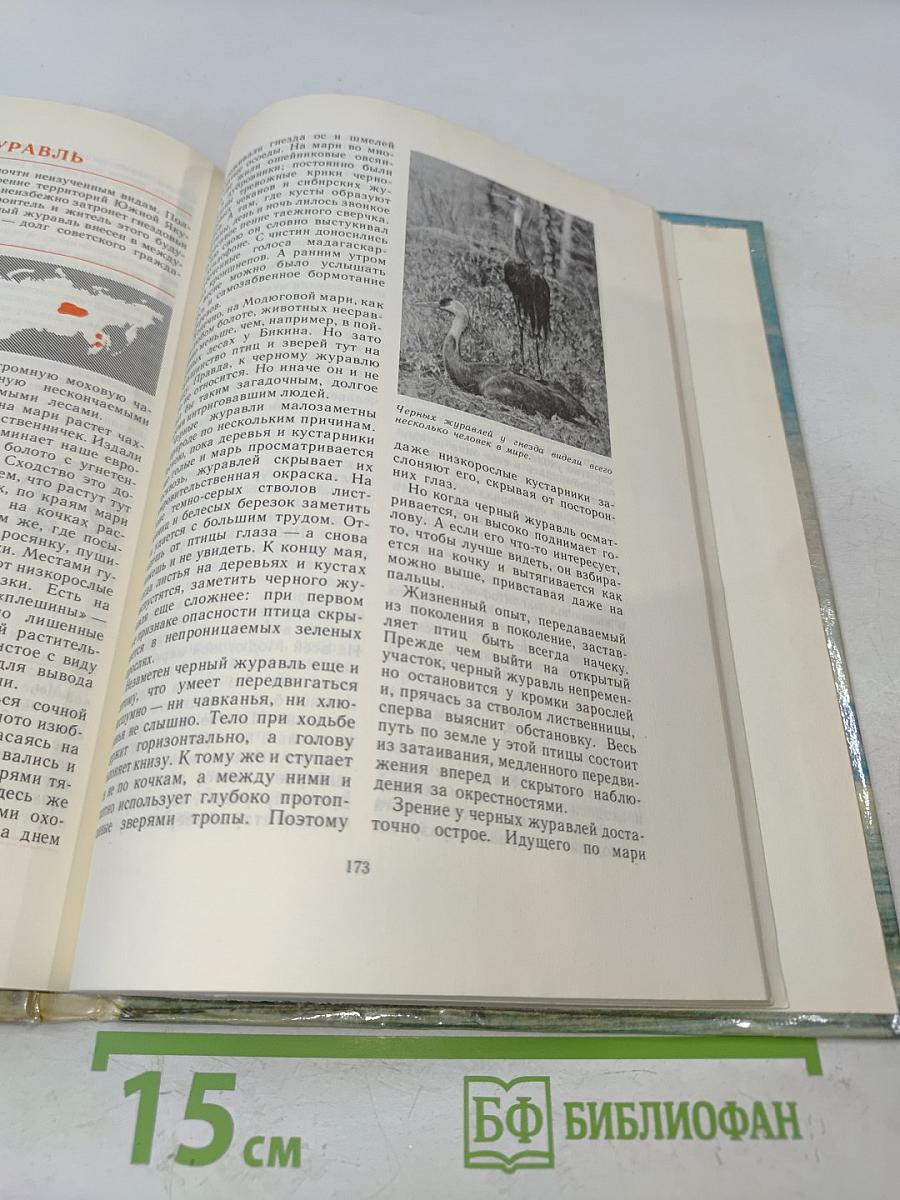Розовые чайки и черные журавли