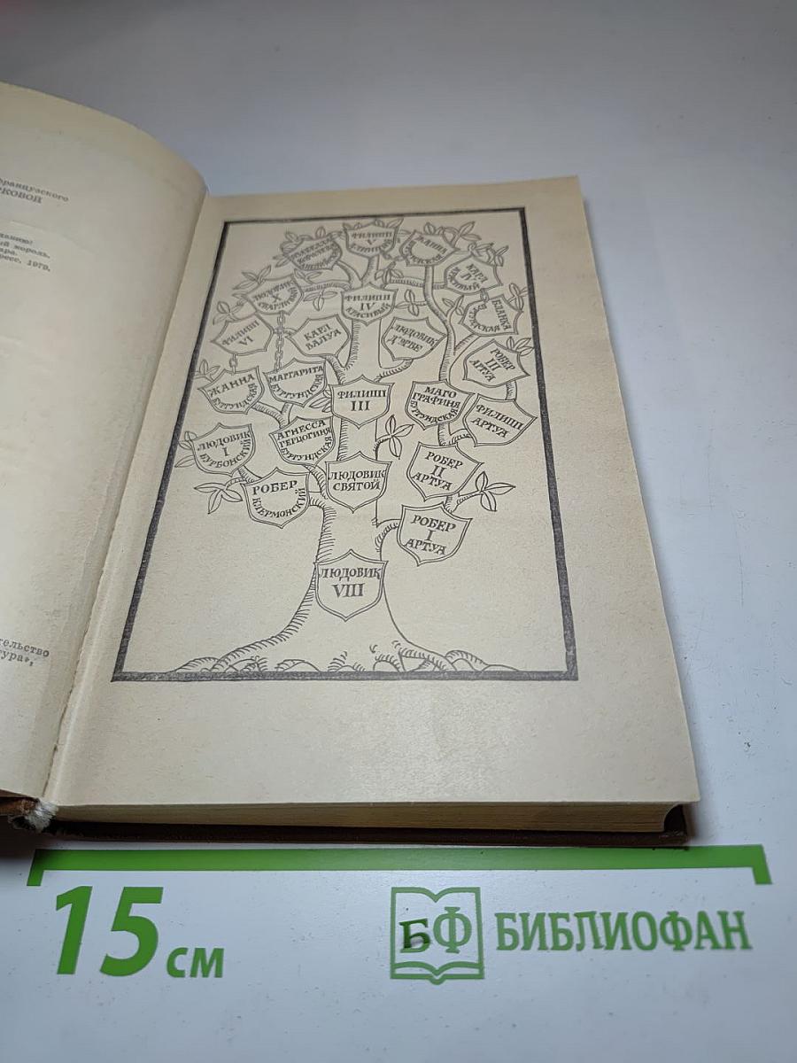 Железный король. Узница Шато-Гайара