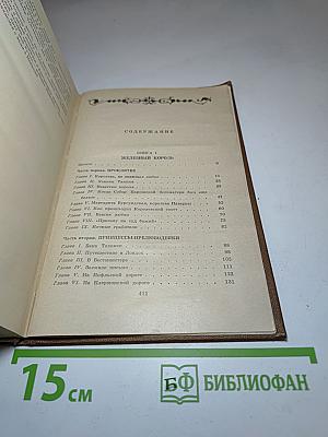 Железный король. Узница Шато-Гайара