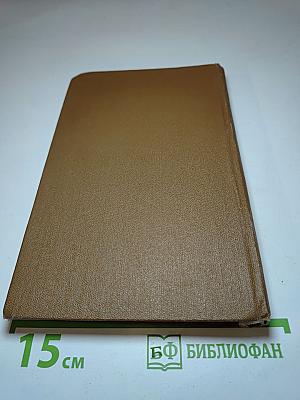 Железный король. Узница Шато-Гайара