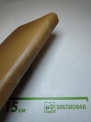 Железный король. Узница Шато-Гайара