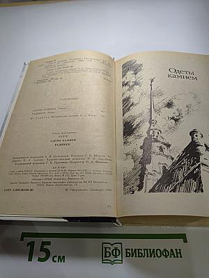 Одеты камнем. Радищев