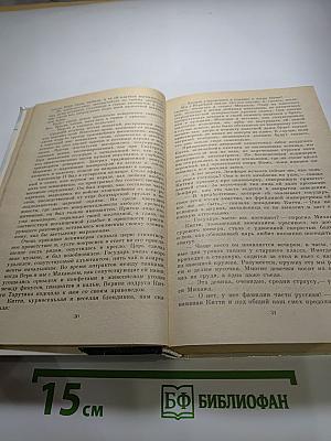 Одеты камнем. Радищев