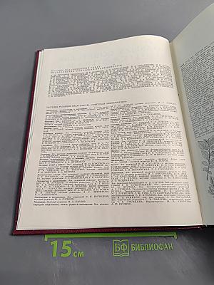 Большая Советская Энциклопедия. Том 10. Ива - Италики