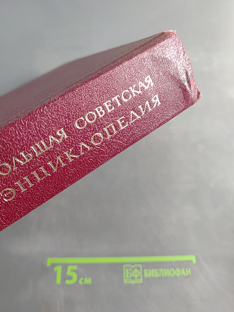 Большая Советская Энциклопедия. Том 10. Ива - Италики