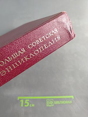 Большая Советская Энциклопедия. Том 10. Ива - Италики