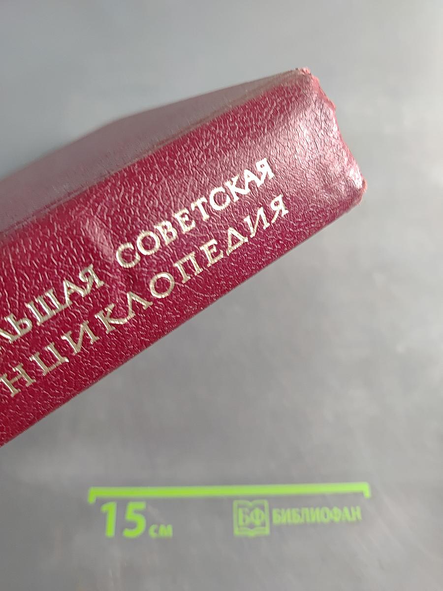 Большая Советская Энциклопедия. Том 19. ОТОМИ — ПЛАСТЫРЬ