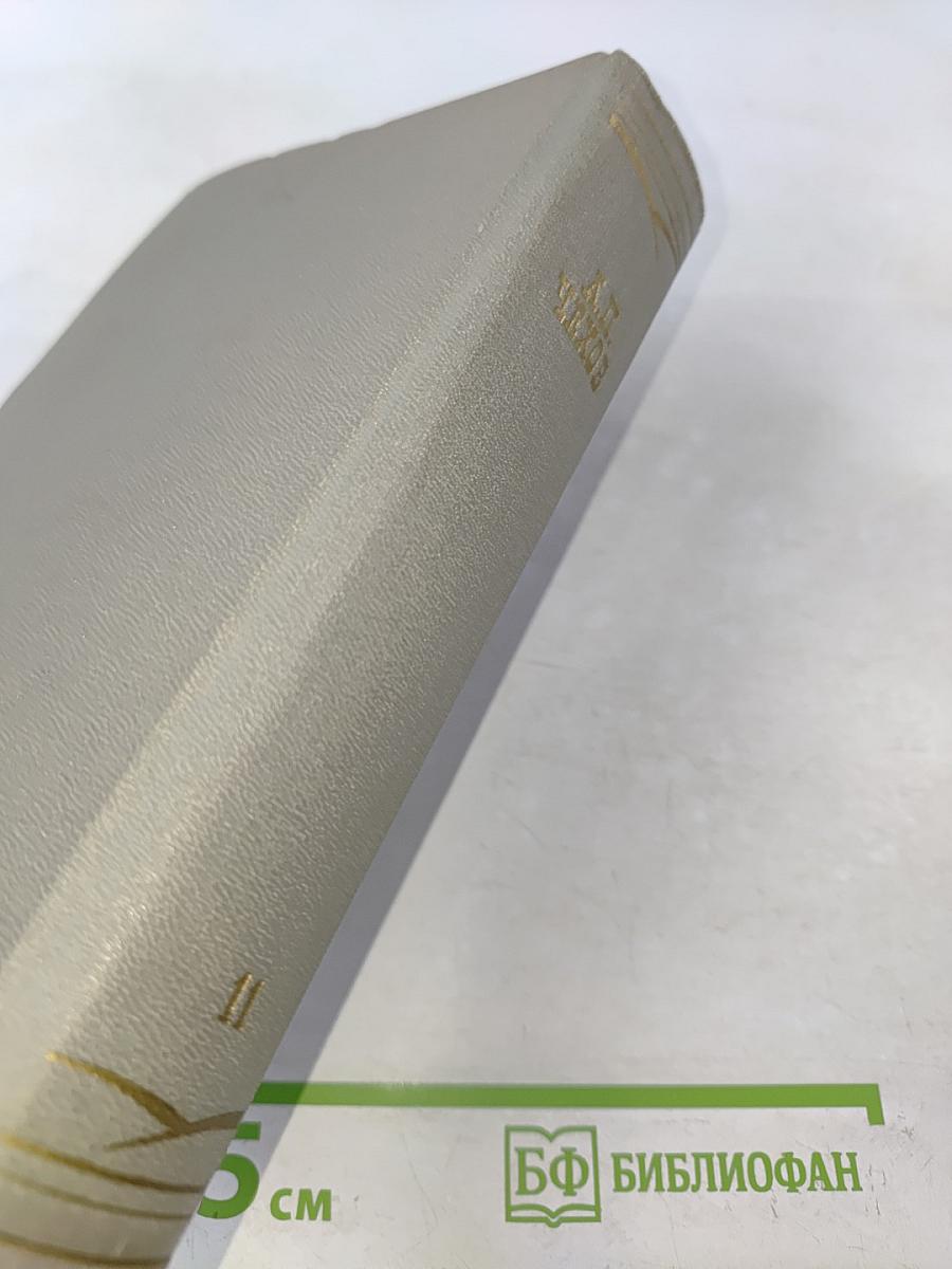 Собрание сочинений. Том одиннадцатый. Письма 1877-1892