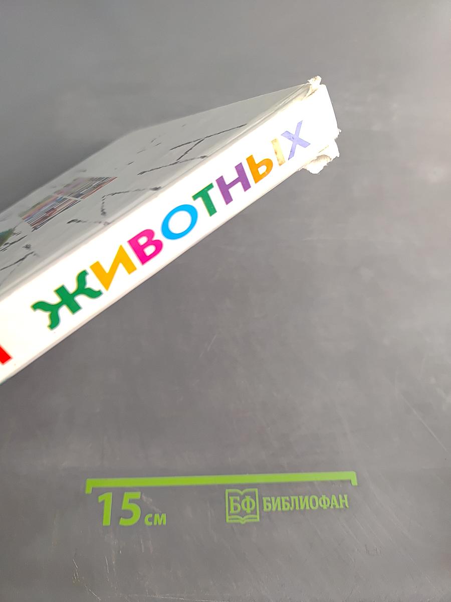 Энциклопедия животных