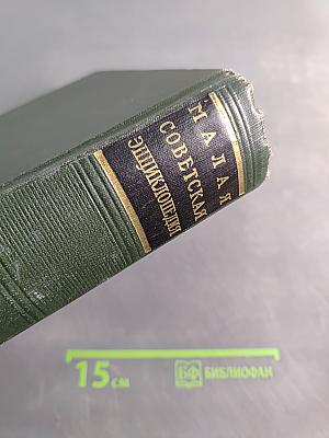 Малая Советская Энциклопедия. Том 3. Горняцкий – Илосос
