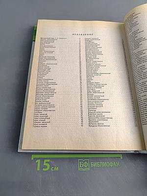 Зеленая аптека