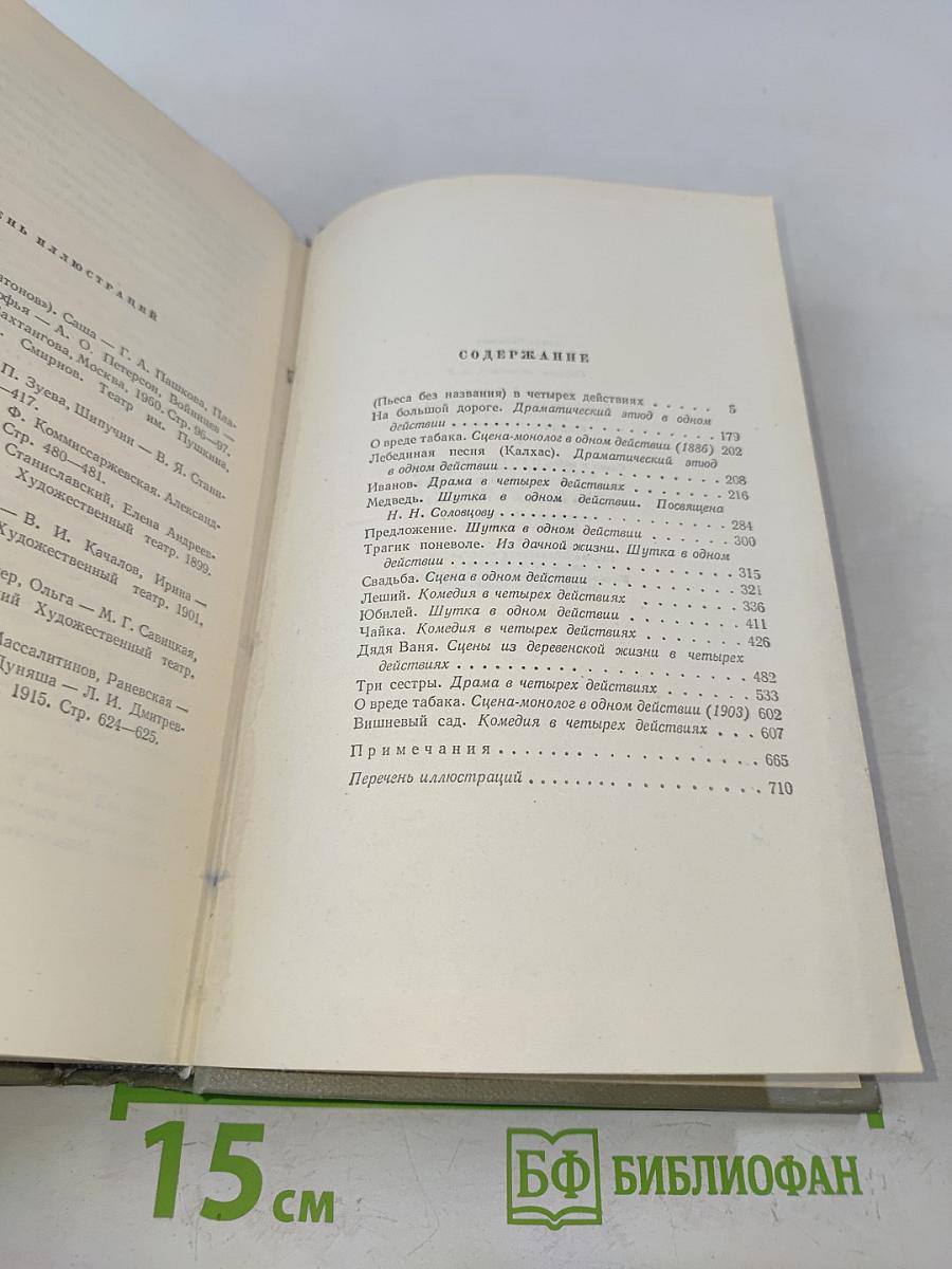 Собрание сочинений. Том девятый. Пьесы 1880-1904