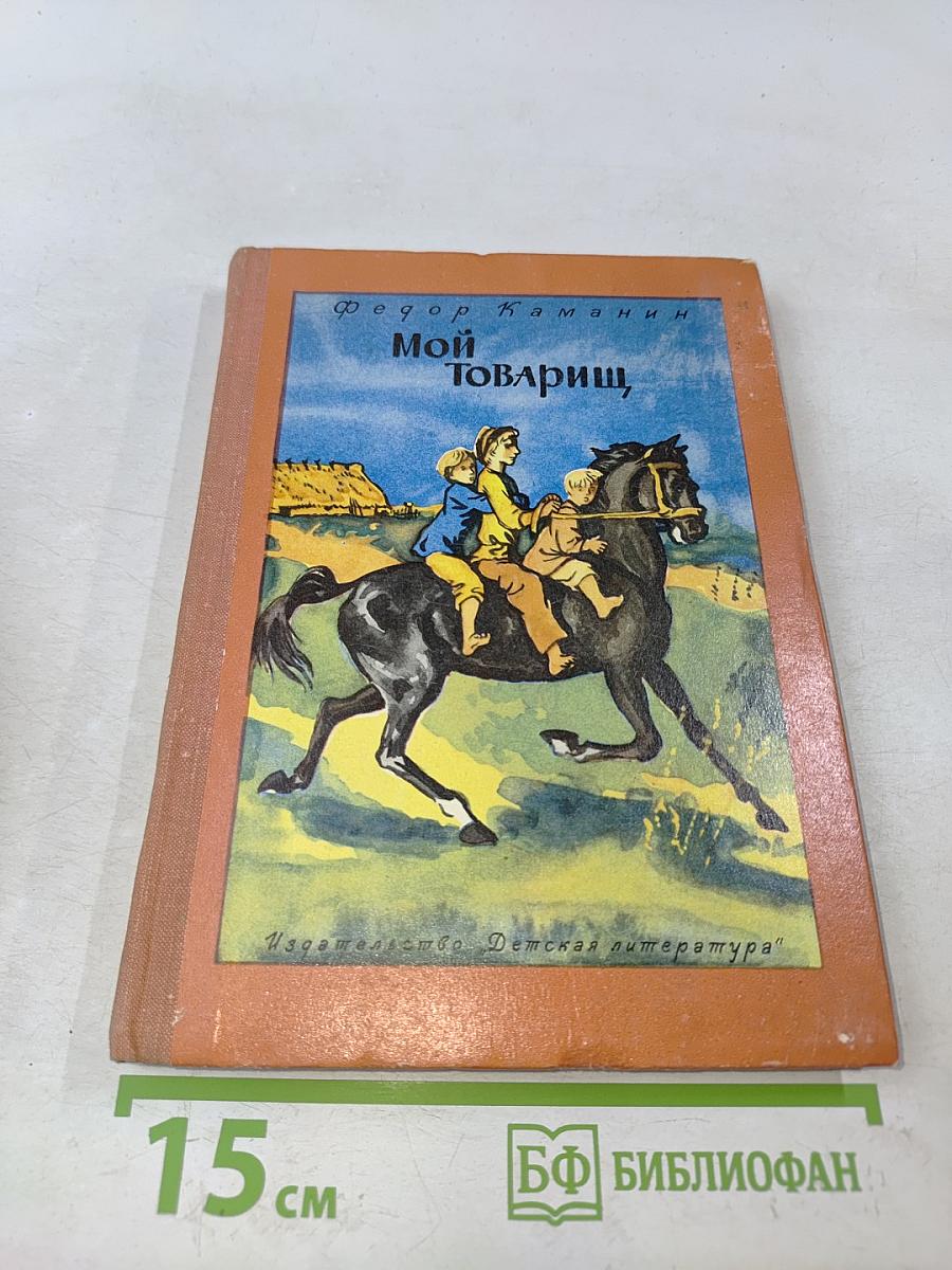 Мой товарищ