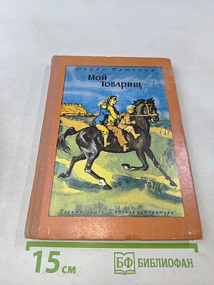 Мой товарищ