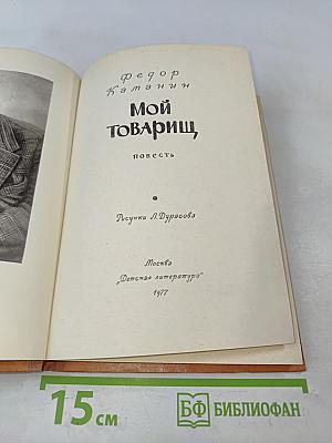 Мой товарищ