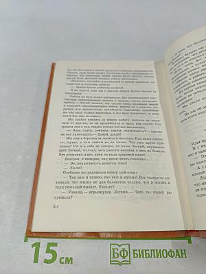 Мой товарищ