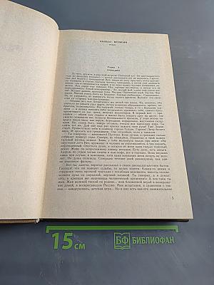 Собрание сочинений в девяти томах. Том 2. Романы. Рассказы