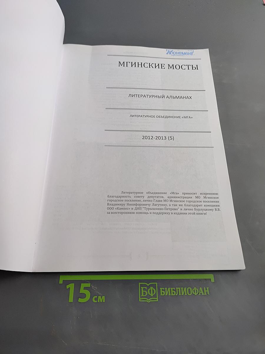Мгинские мосты