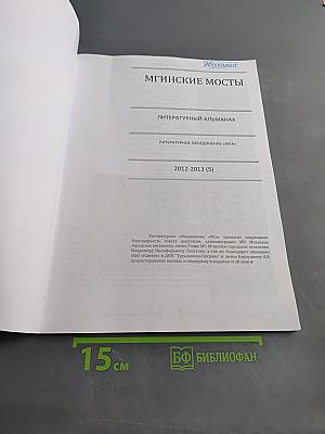 Мгинские мосты