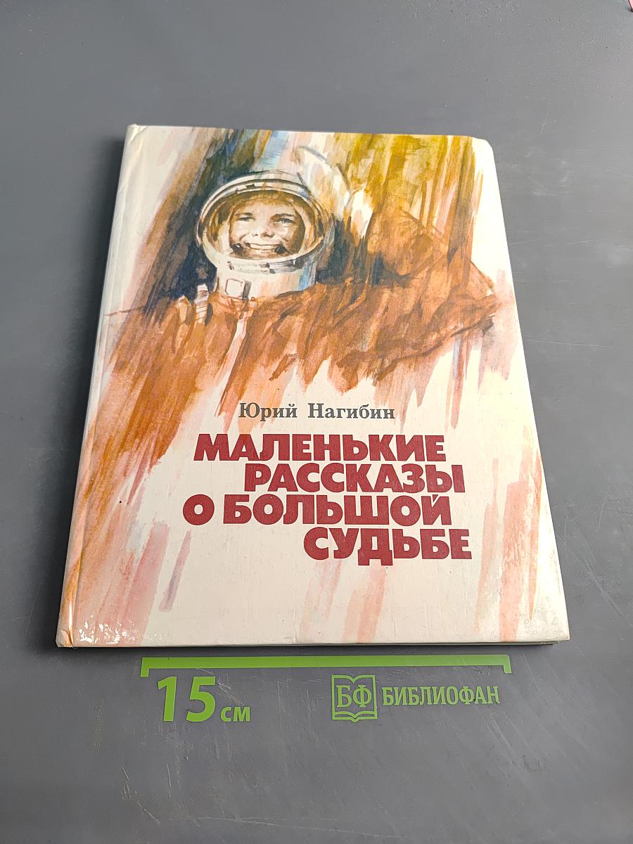 Маленькие рассказы о большой судьбе