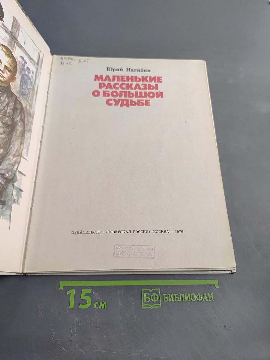 Маленькие рассказы о большой судьбе