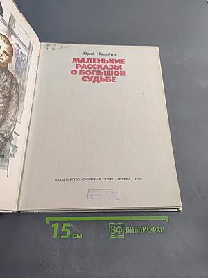 Маленькие рассказы о большой судьбе