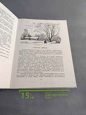 Маленькие рассказы о большой судьбе