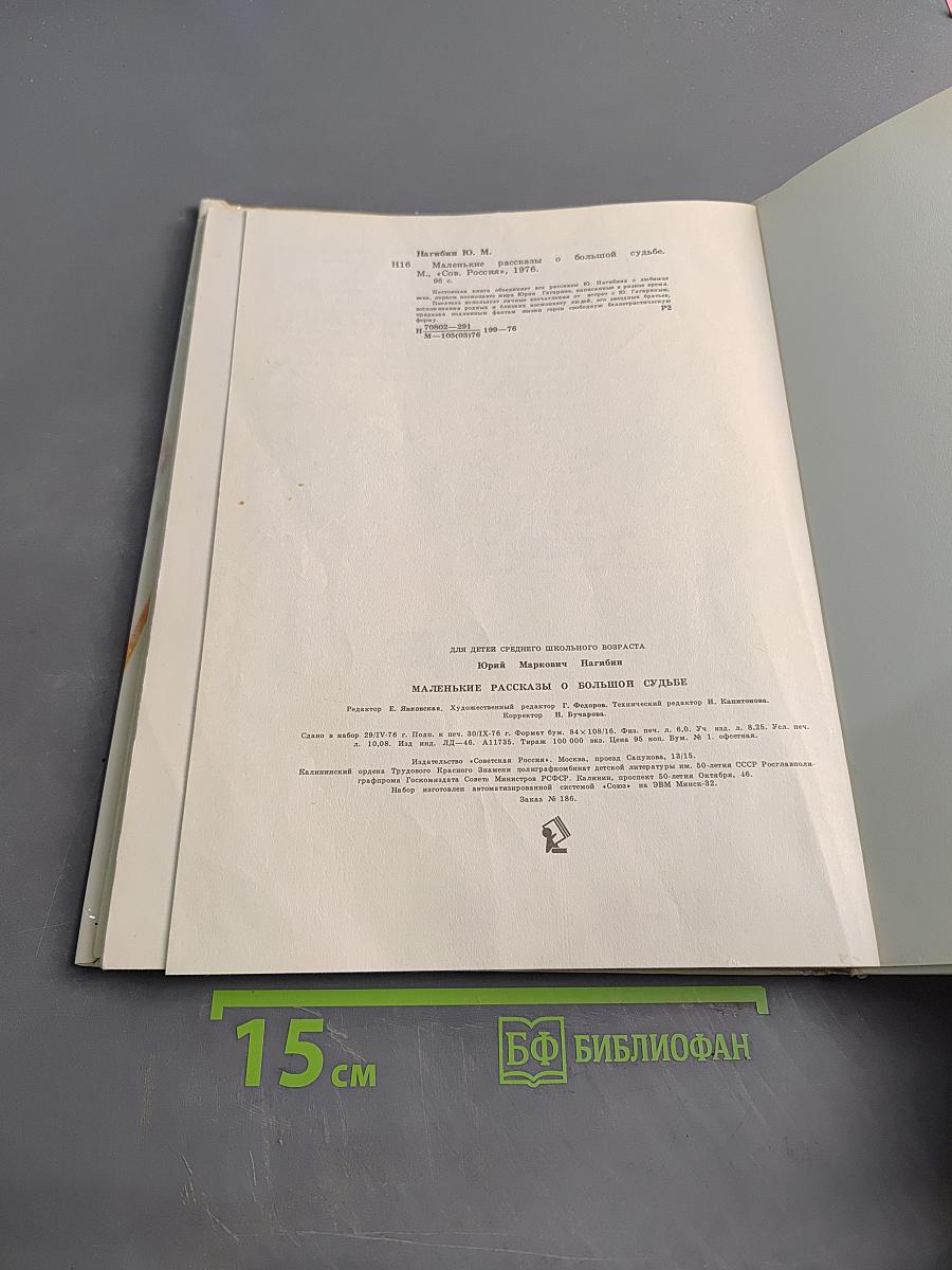Маленькие рассказы о большой судьбе