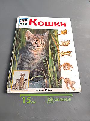 Кошки