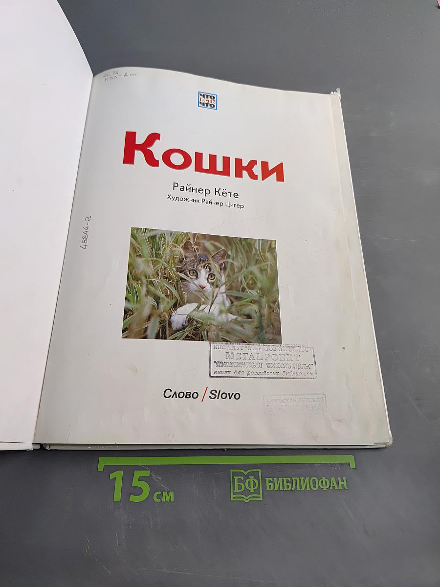 Кошки