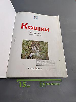 Кошки