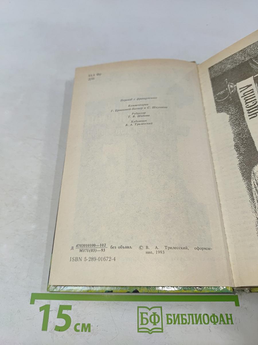 Виконт де Бражелон, или Десять лет спустя. Части 5, 6