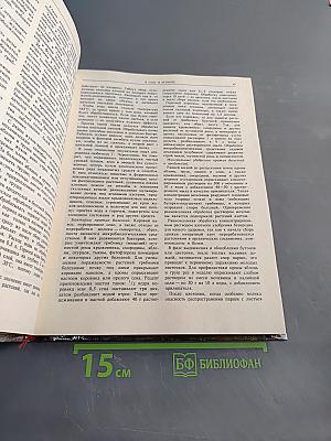 В саду и огороде. Полезные советы