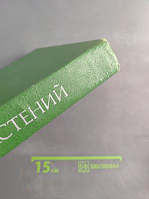 Жизнь растений в шести томах. Том 1. Введение: Бактерии и актиномицеты