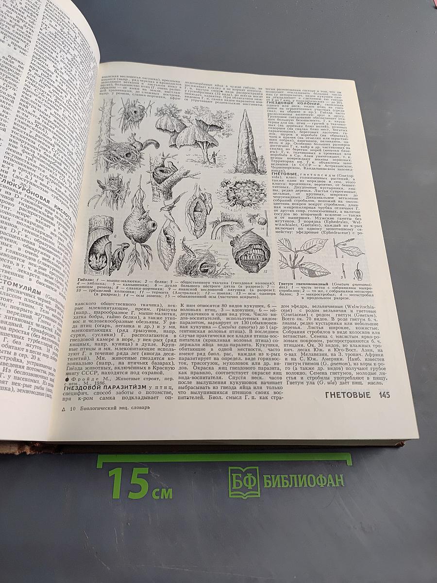 Биологический энциклопедический словарь