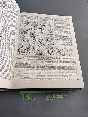 Биологический энциклопедический словарь