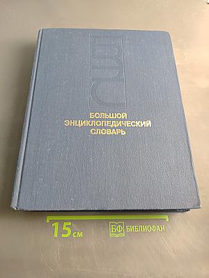 Большой энциклопедический словарь. Том 1