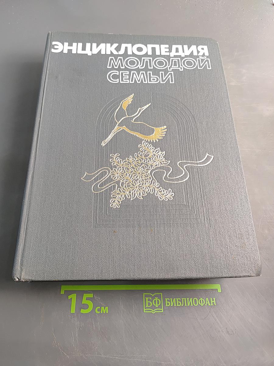 Энциклопедия молодой семьи