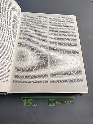 Энциклопедия молодой семьи
