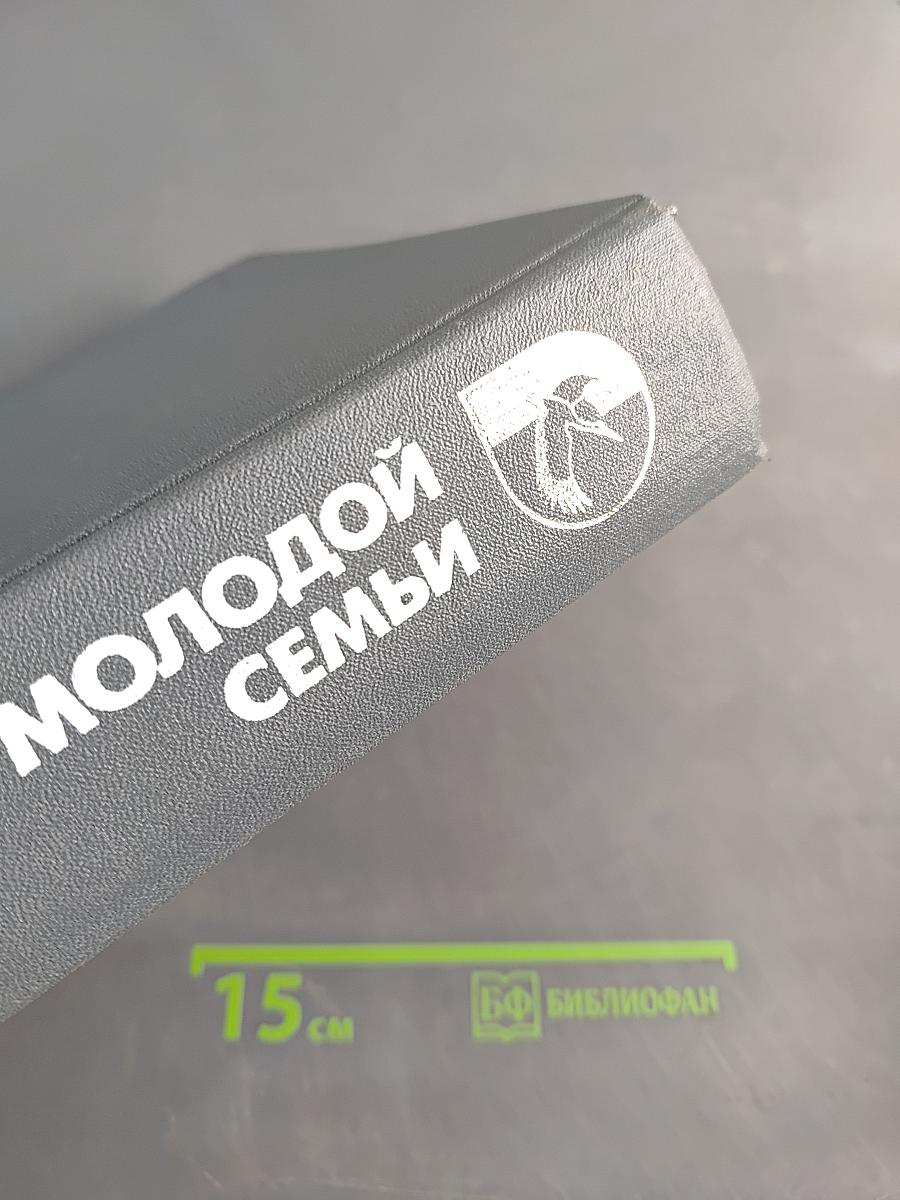 Энциклопедия молодой семьи