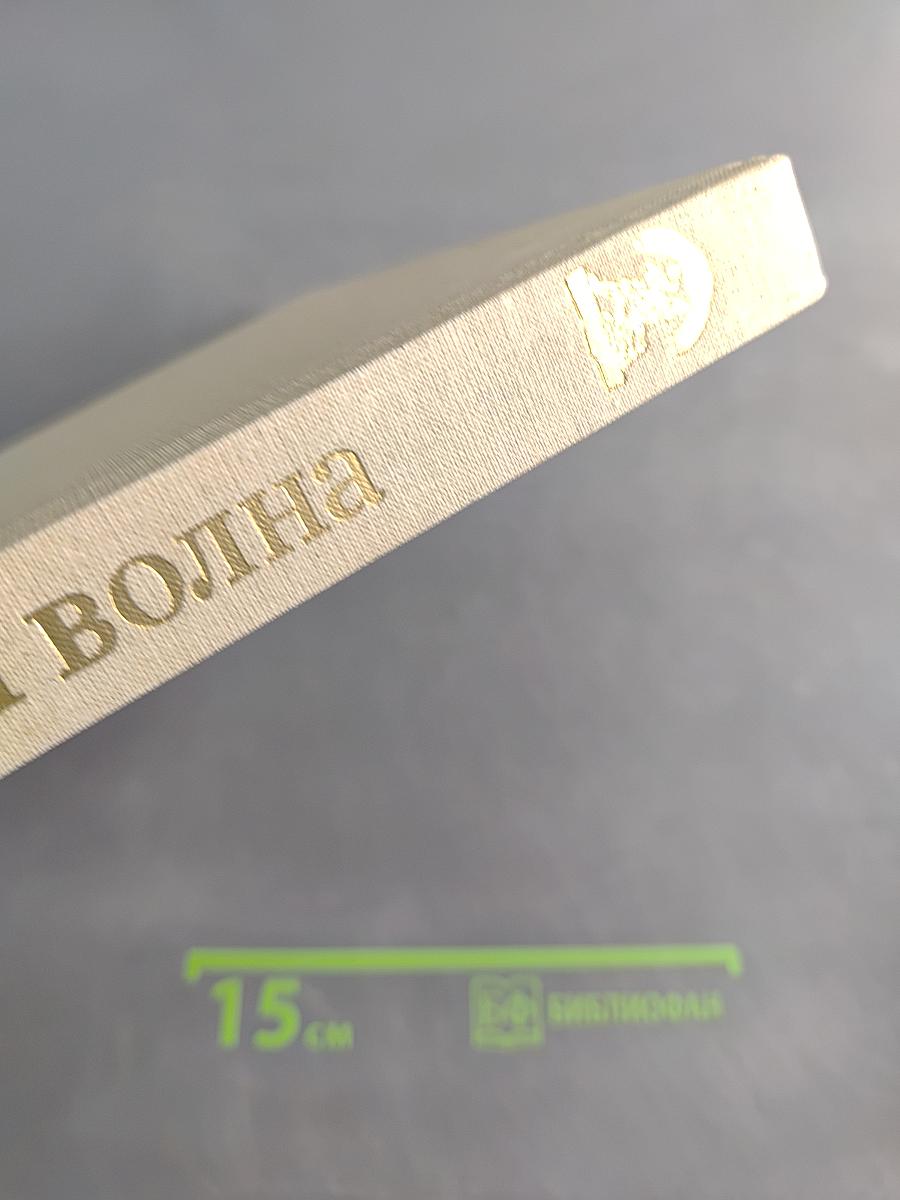 Где плещет невская волна