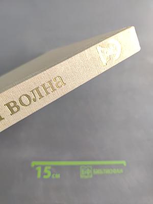 Где плещет невская волна