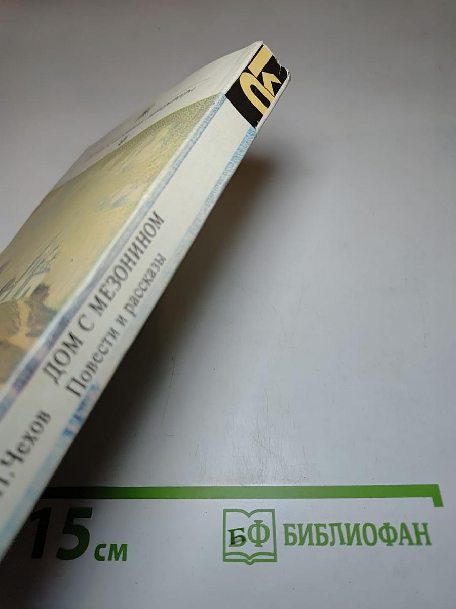 Серебряный век. Петербургская поэзия конца XIX - начала XX в.