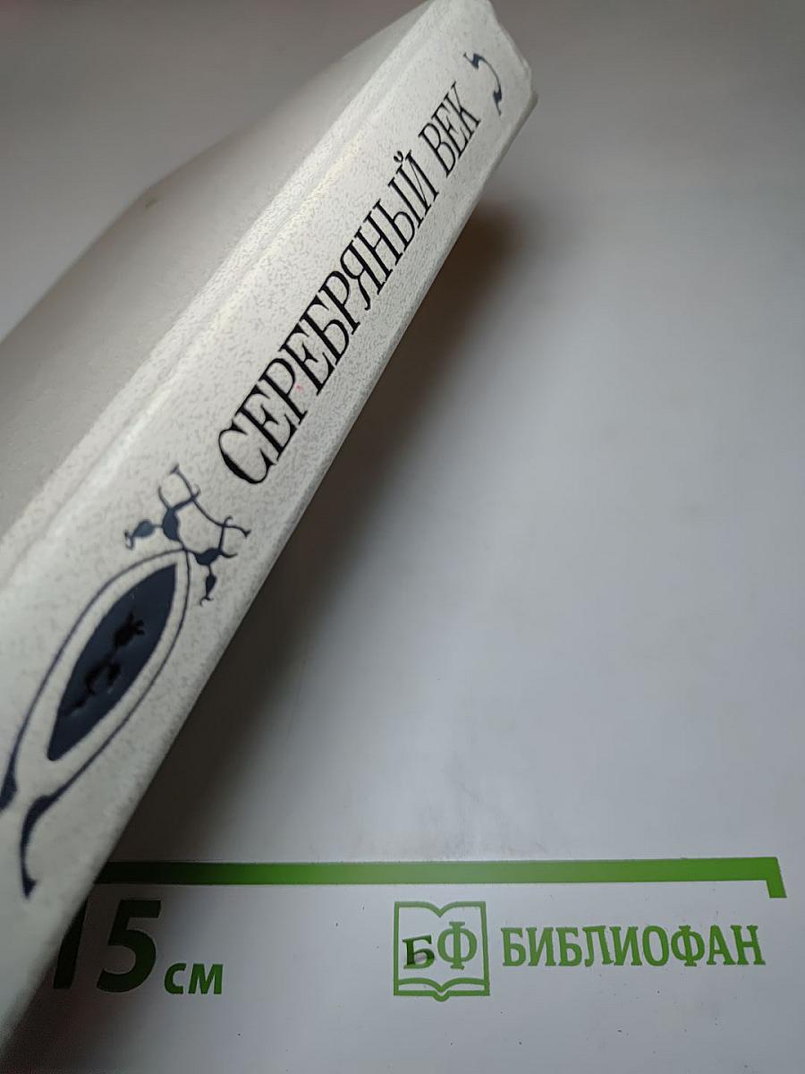 Серебряный век. Петербургская поэзия конца XIX - начала XX в.