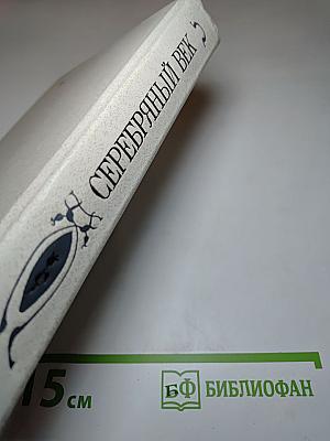 Серебряный век. Петербургская поэзия конца XIX - начала XX в.