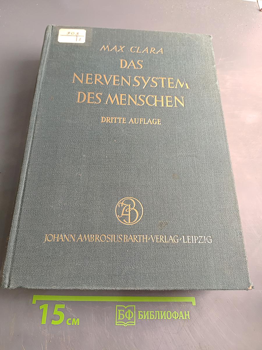 Das Nervensystem des Menschen
