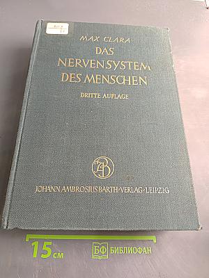 Das Nervensystem des Menschen