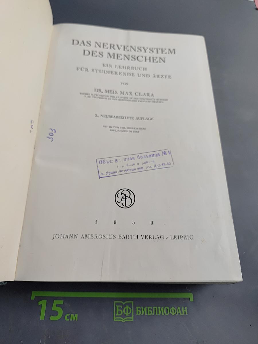 Das Nervensystem des Menschen
